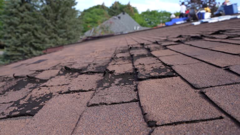 Trusted Commerce, CA Roofing Services Experts