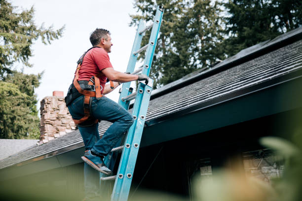 Best Roof Moss and Algae Removal  in Commerce, CA